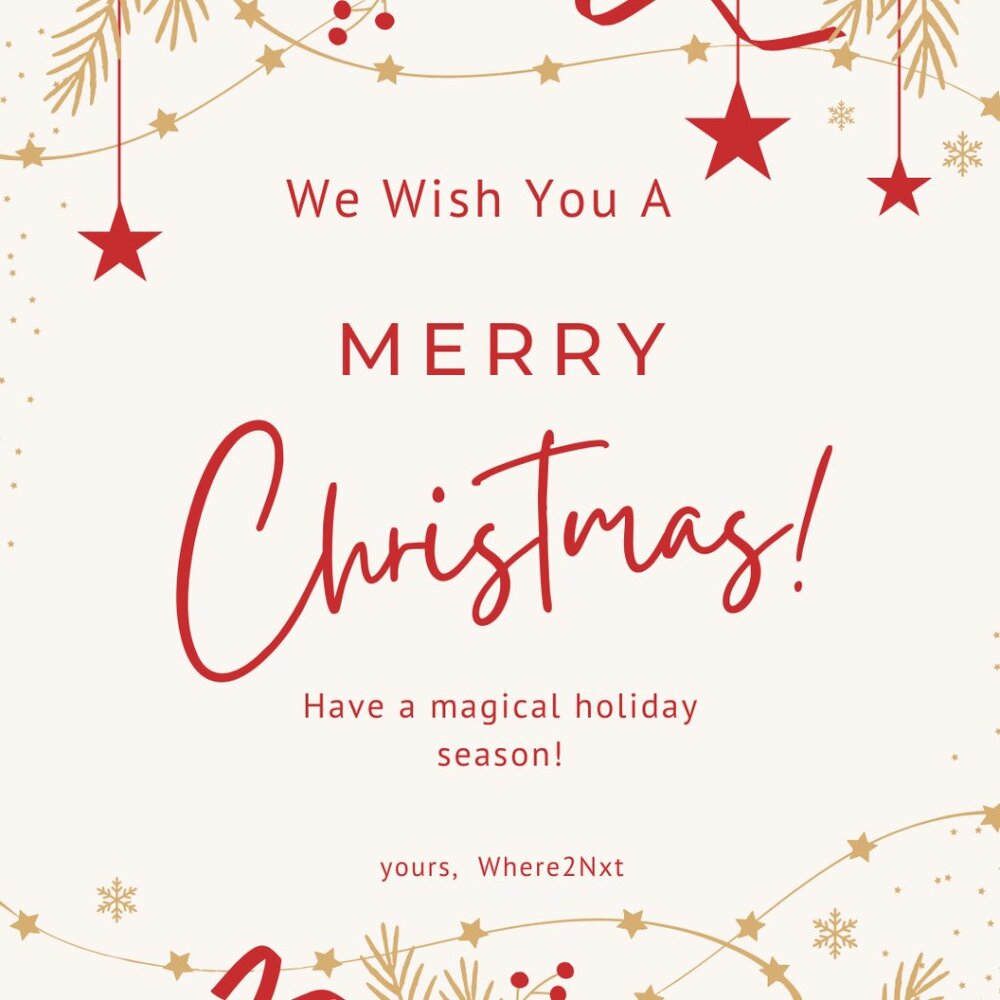 Intimate Apparel - Various Sizes * Nwt * Nip * Ni… - image 2